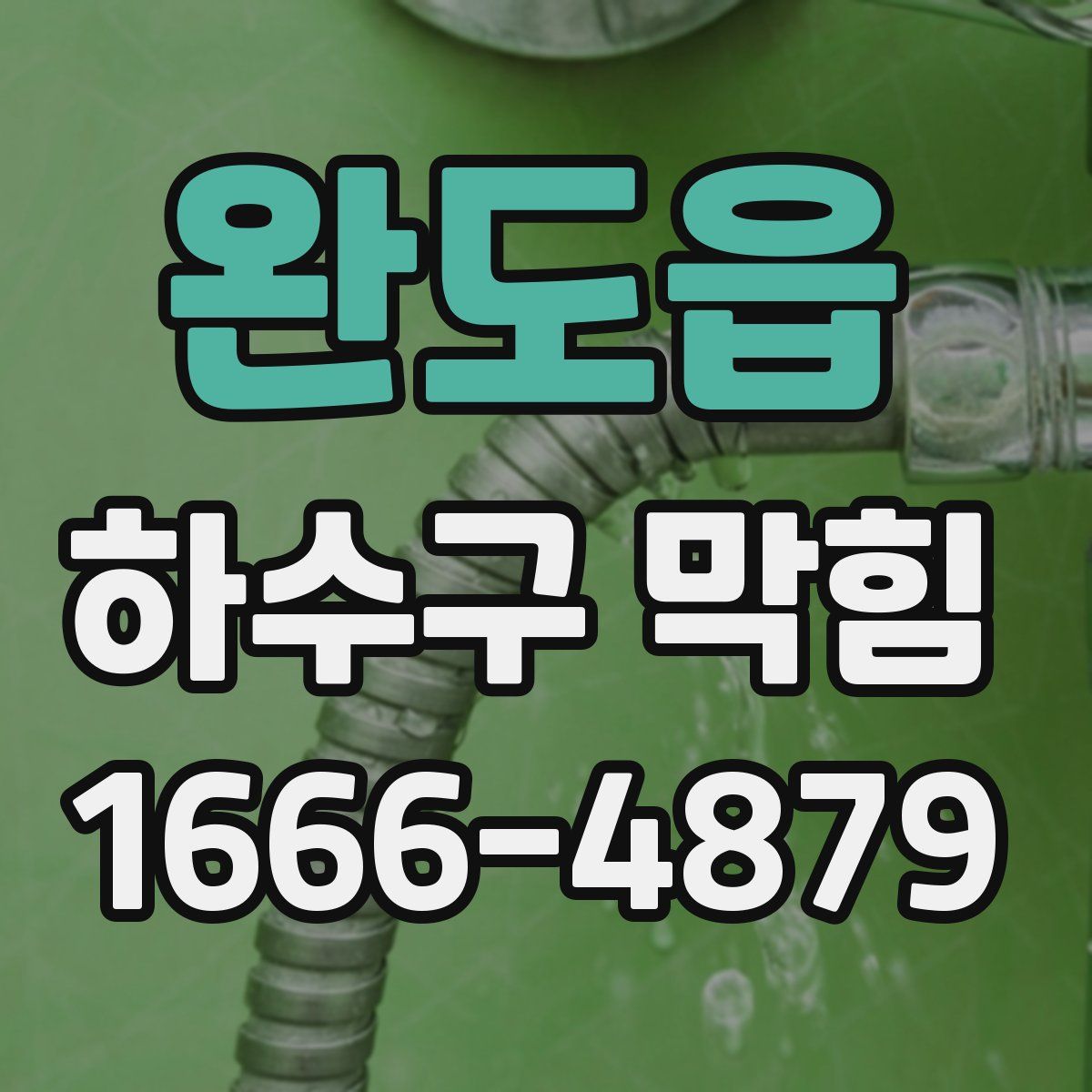 완도읍 하수구 막힘