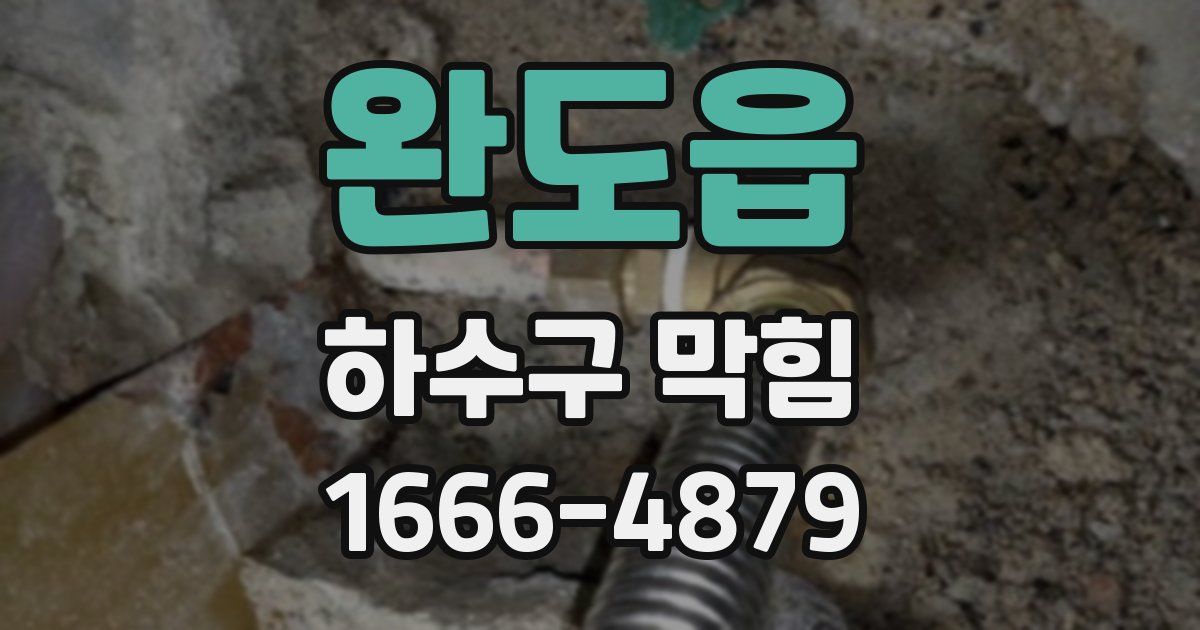 완도읍 하수구 막힘