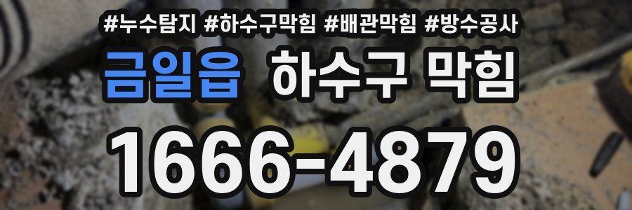 금일읍 하수구 막힘