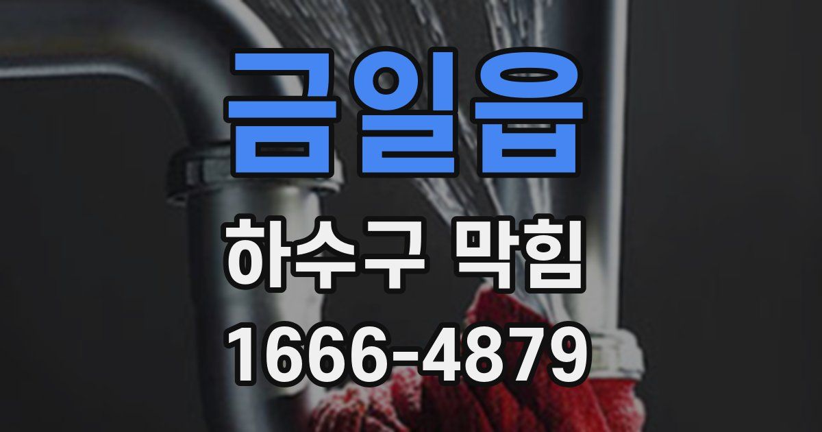 금일읍 하수구 막힘