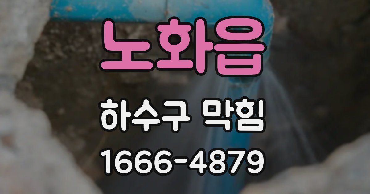 노화읍 하수구 막힘