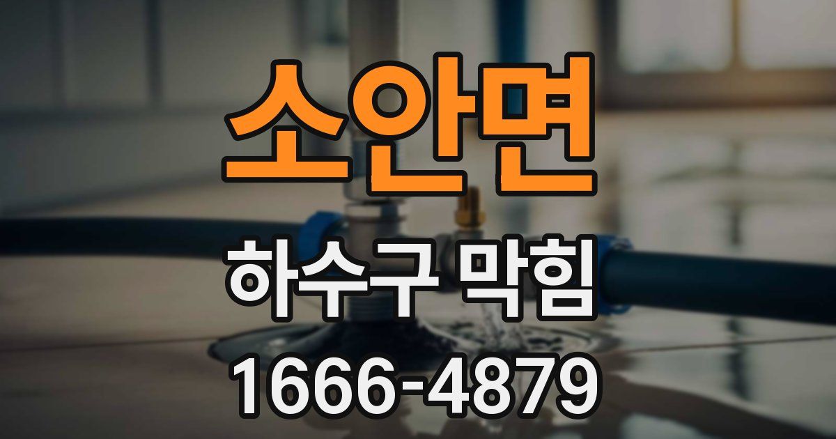 소안면 하수구 막힘
