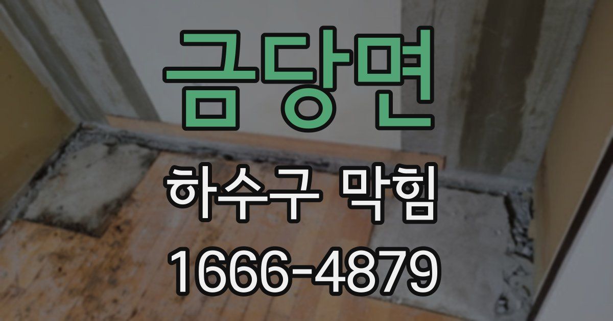 금당면 하수구 막힘