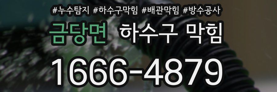 금당면 하수구 막힘