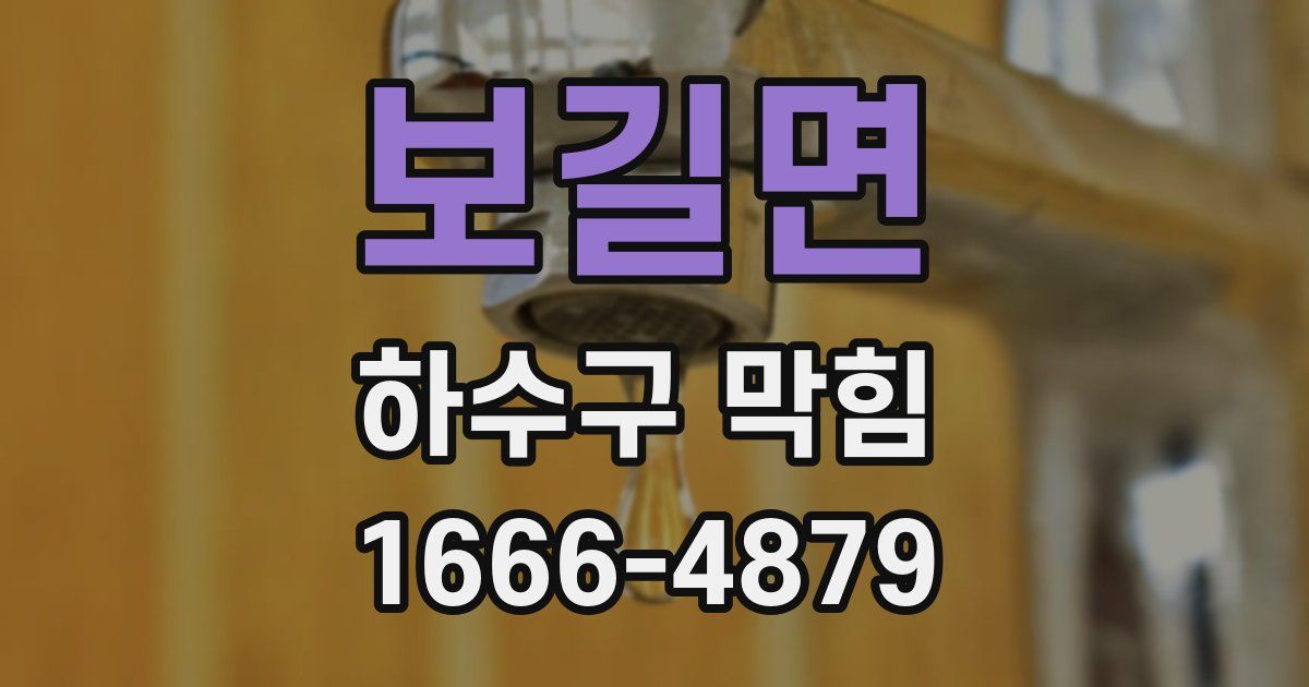 보길면 하수구 막힘