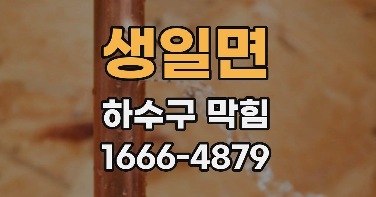 생일면 하수구 막힘