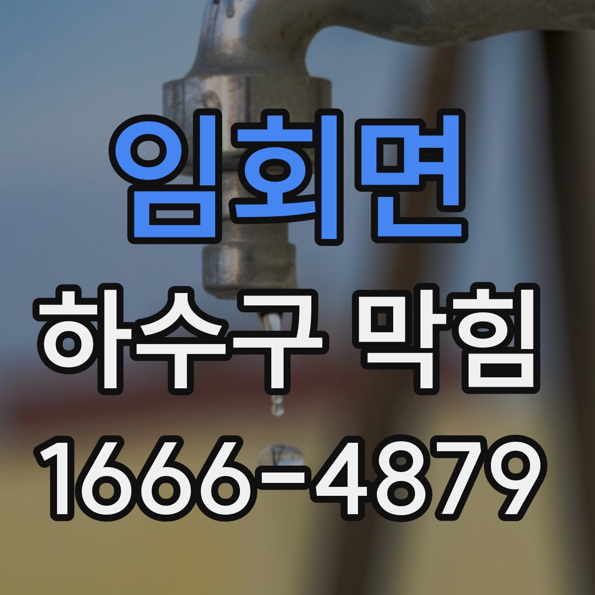 임회면 하수구 막힘