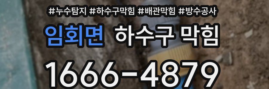 임회면 하수구 막힘