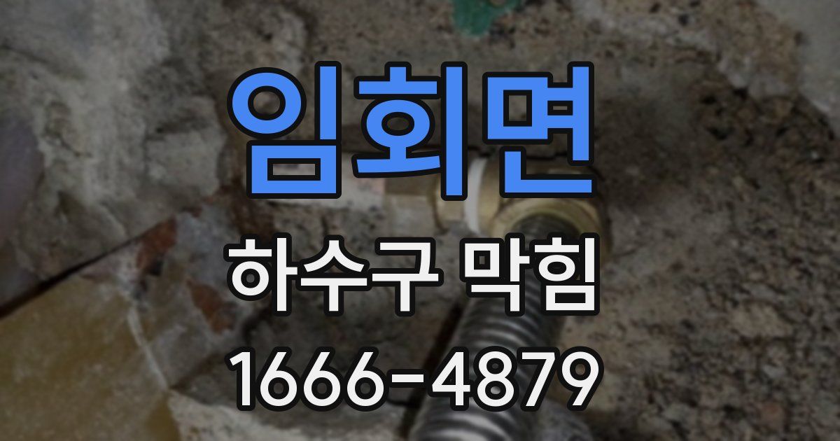 임회면 하수구 막힘