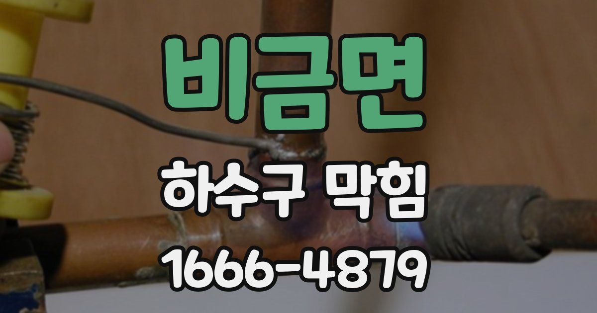 비금면 하수구 막힘