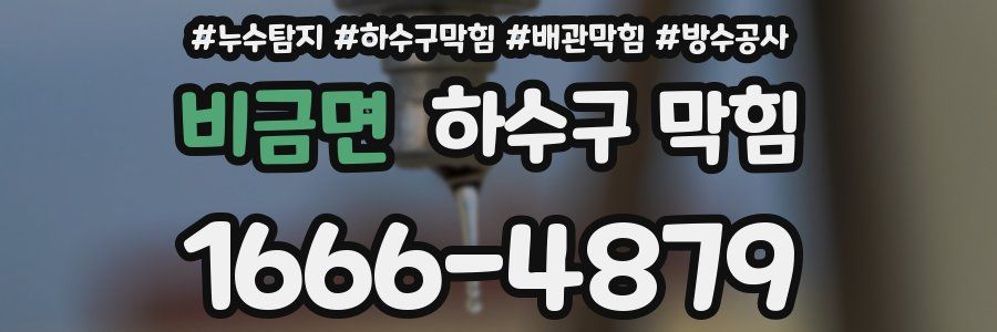 비금면 하수구 막힘