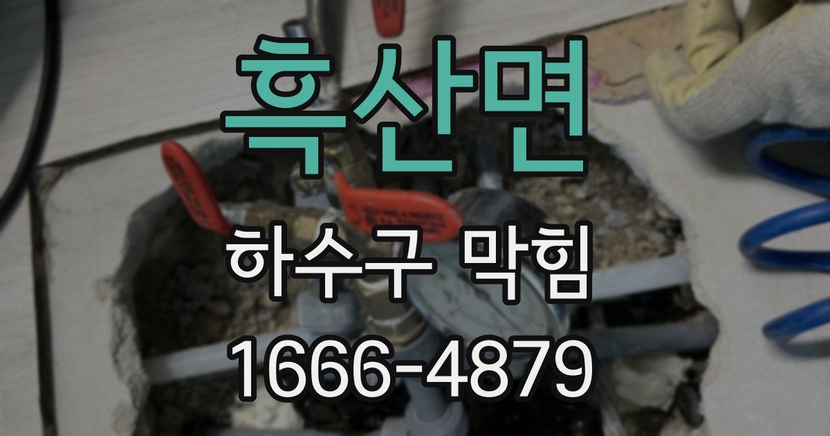 흑산면 하수구 막힘