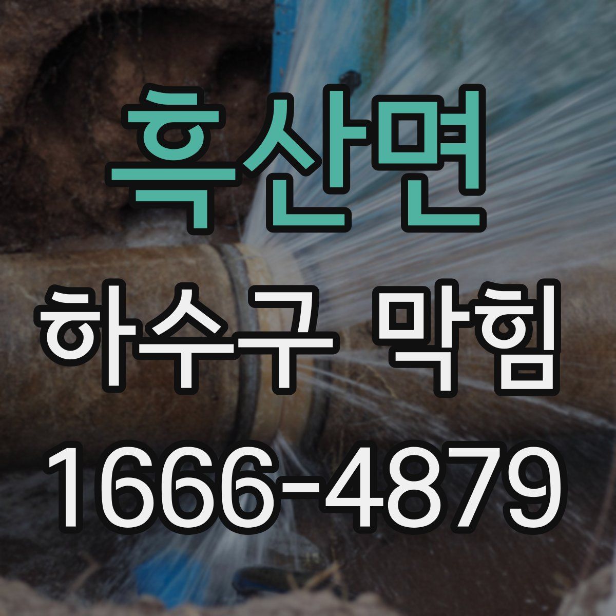 흑산면 하수구 막힘