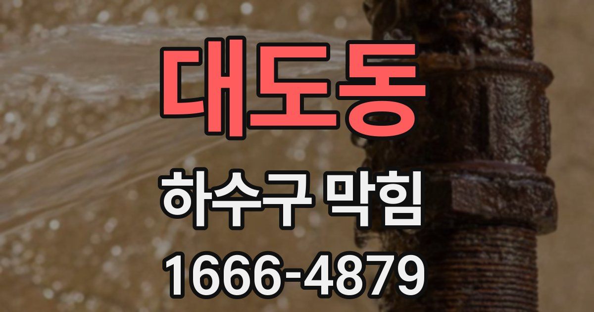 대도동 하수구 막힘