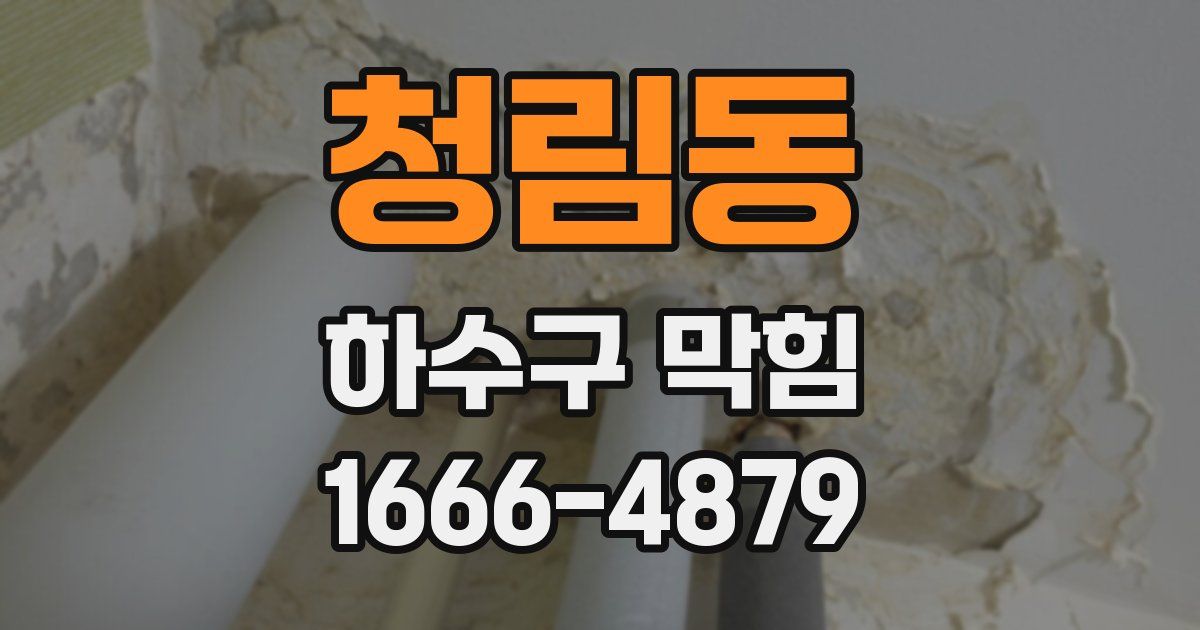 청림동 하수구 막힘