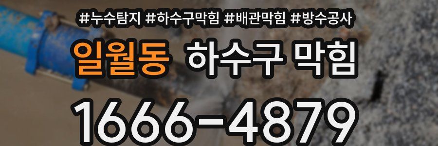 일월동 하수구 막힘