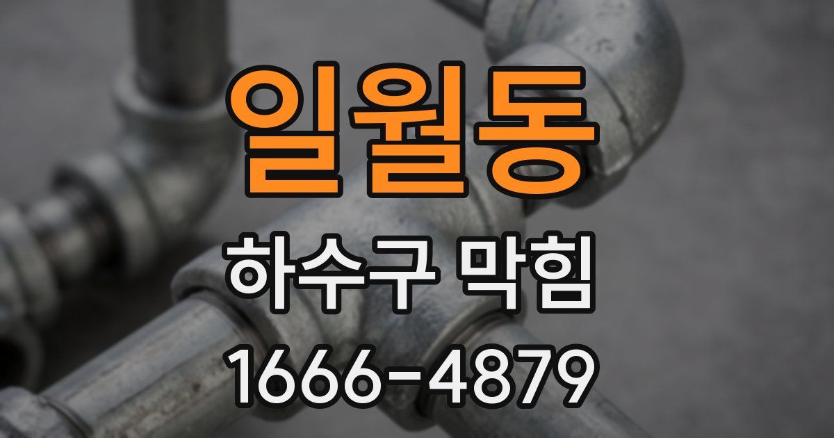 일월동 하수구 막힘