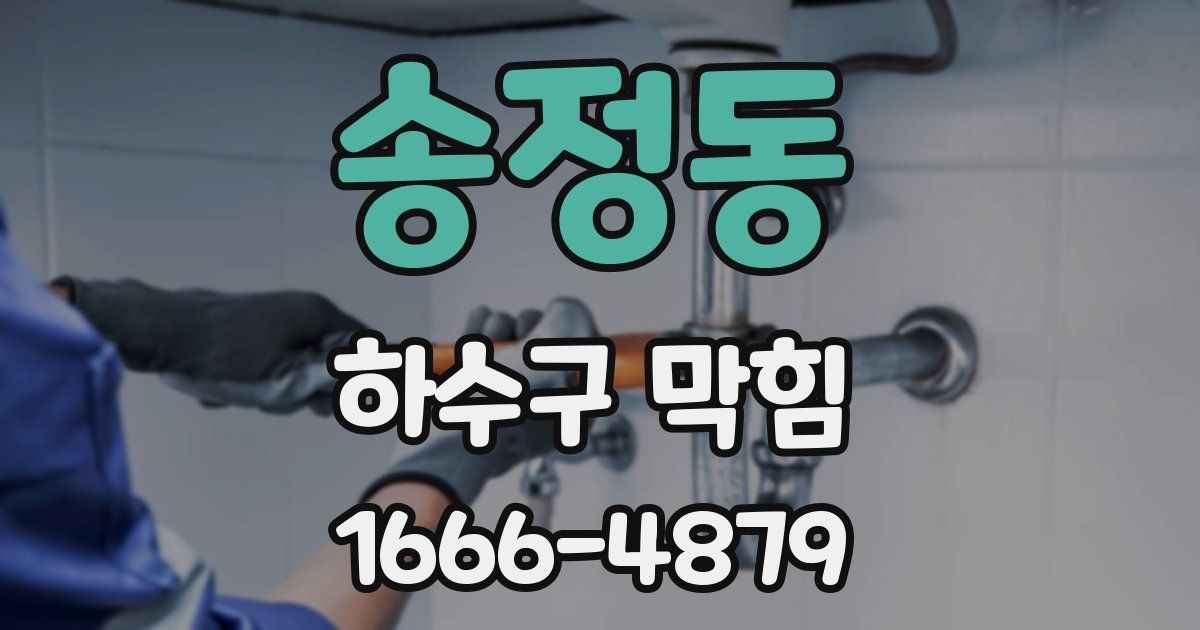 송정동 하수구 막힘