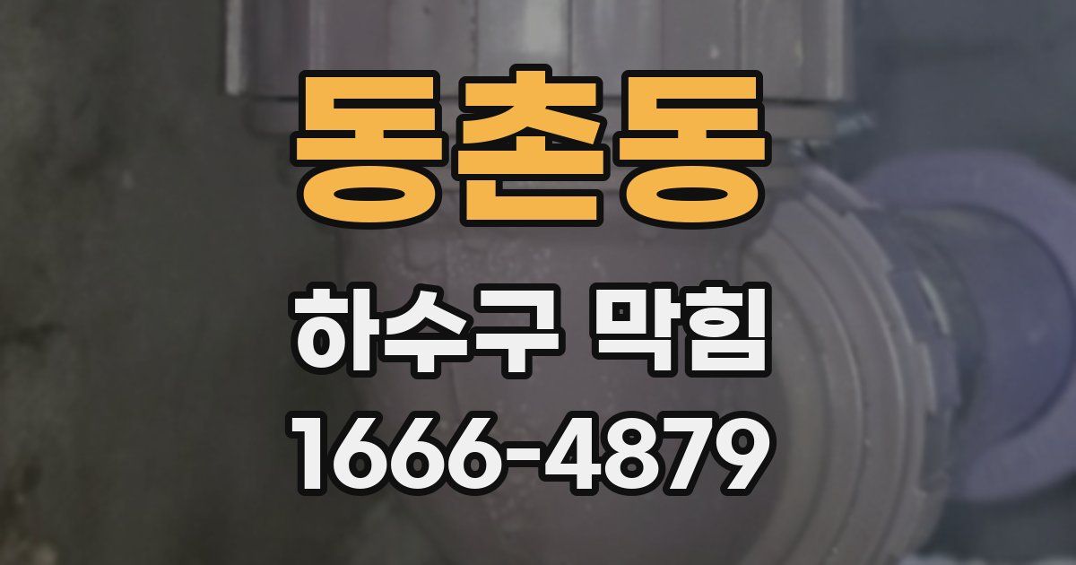 동촌동 하수구 막힘