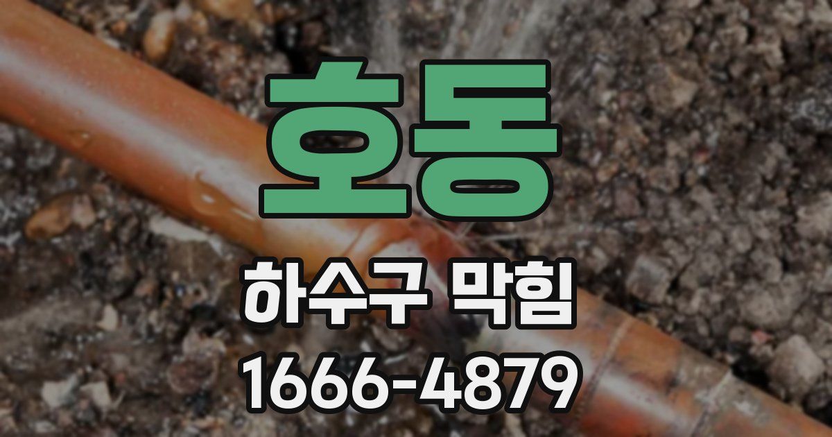 호동 하수구 막힘