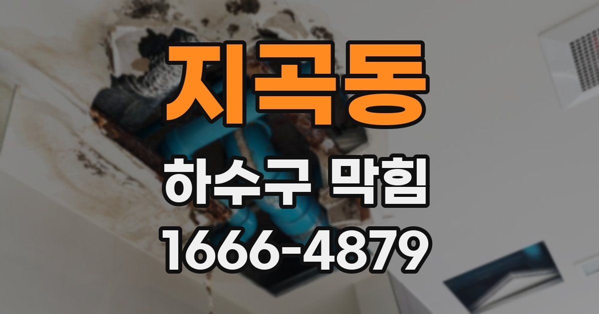 지곡동 하수구 막힘