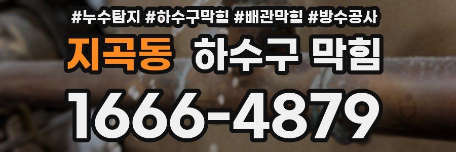 지곡동 하수구 막힘