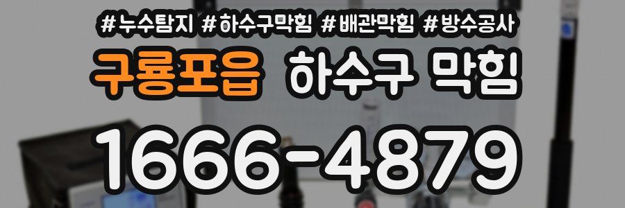 구룡포읍 하수구 막힘