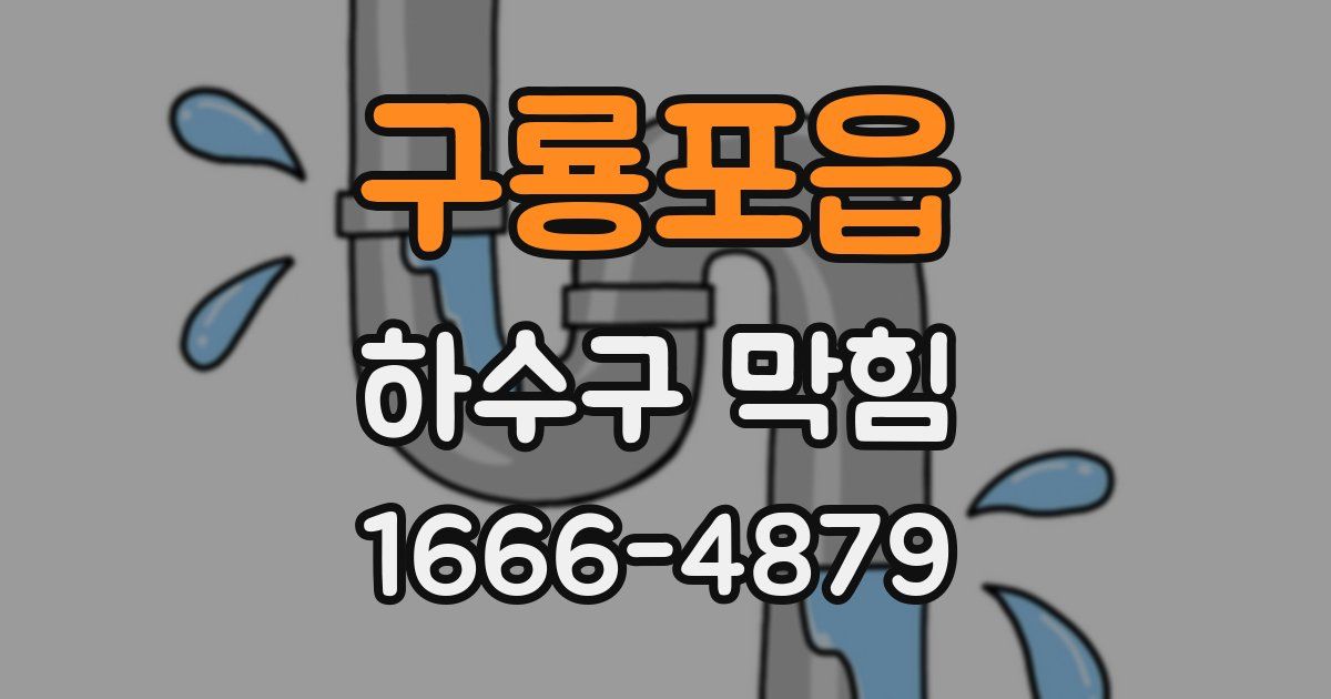 구룡포읍 하수구 막힘