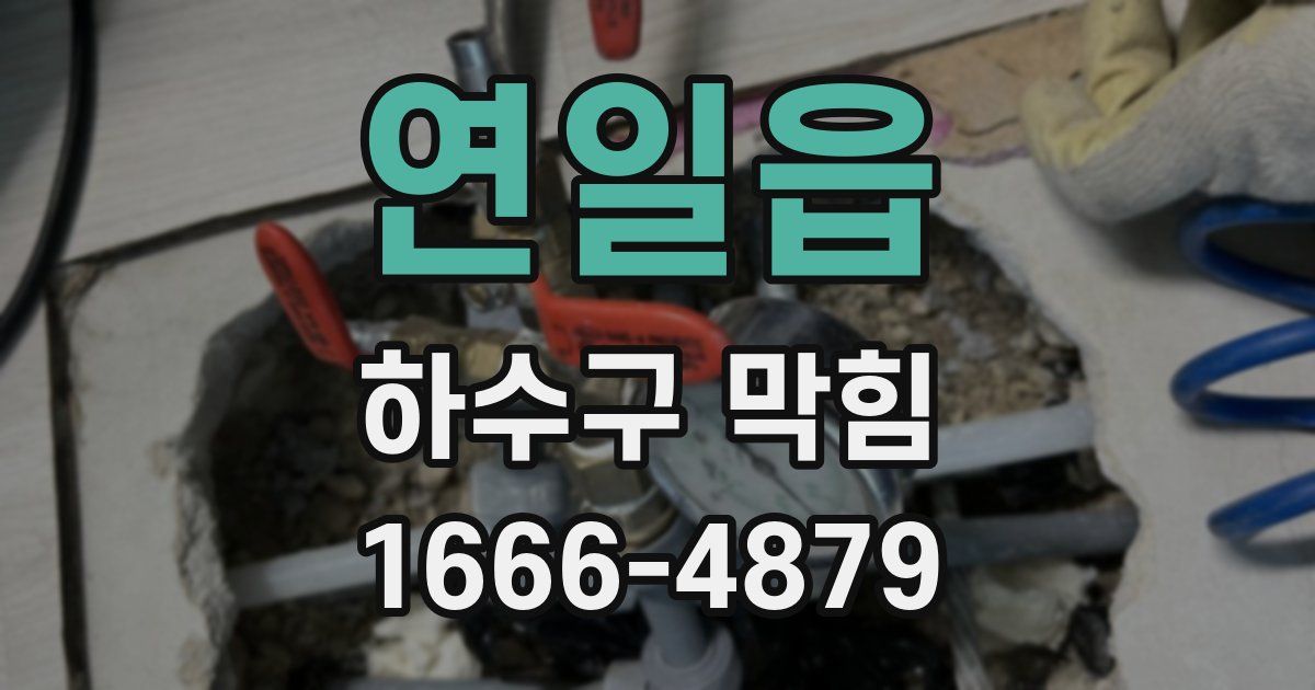 연일읍 하수구 막힘
