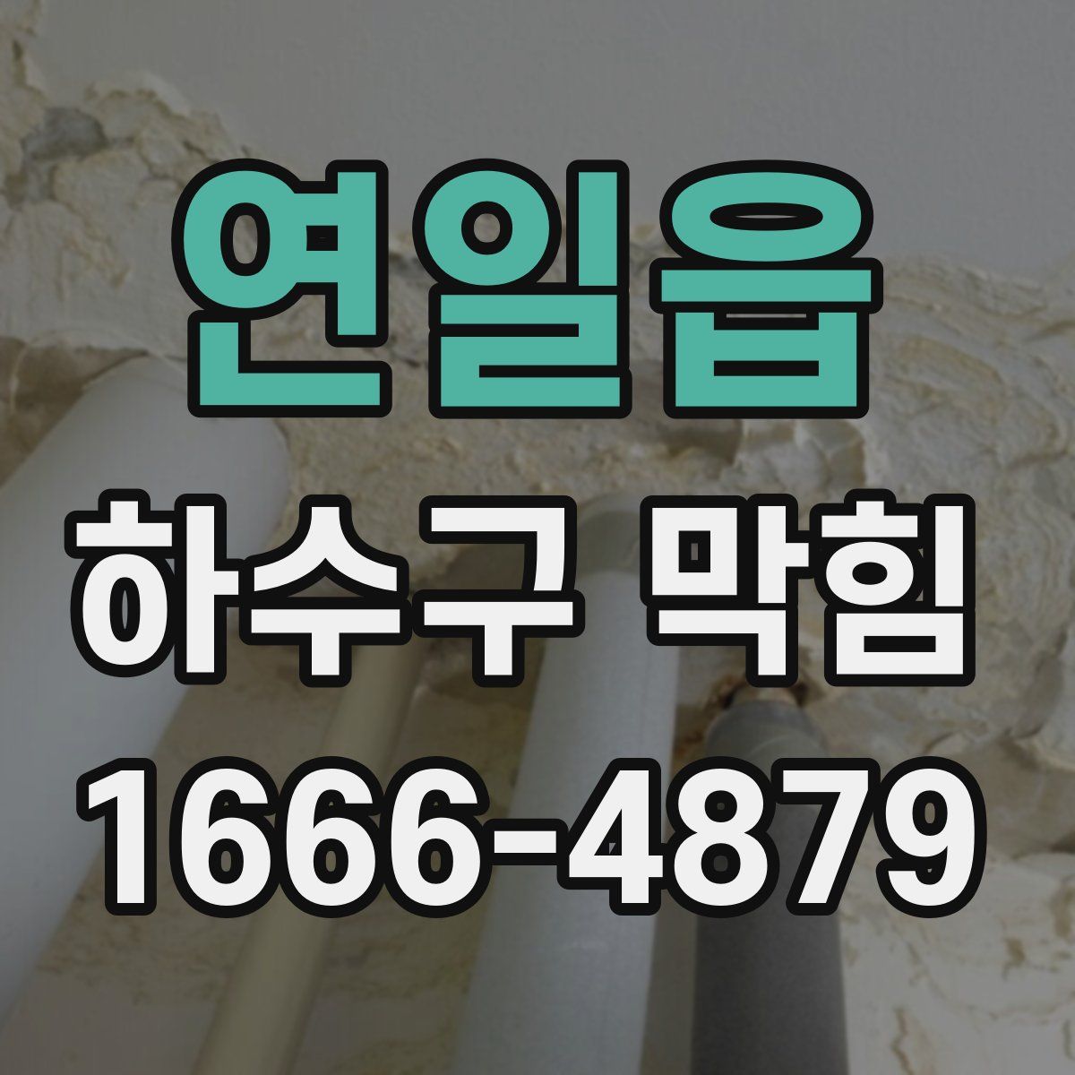 연일읍 하수구 막힘