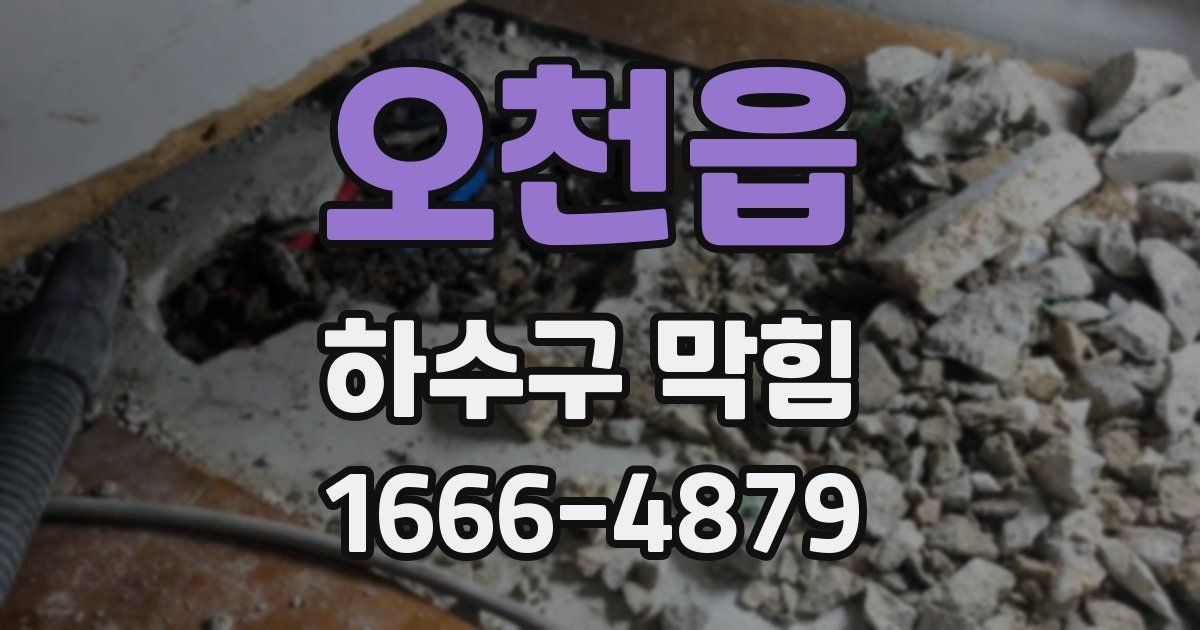 오천읍 하수구 막힘