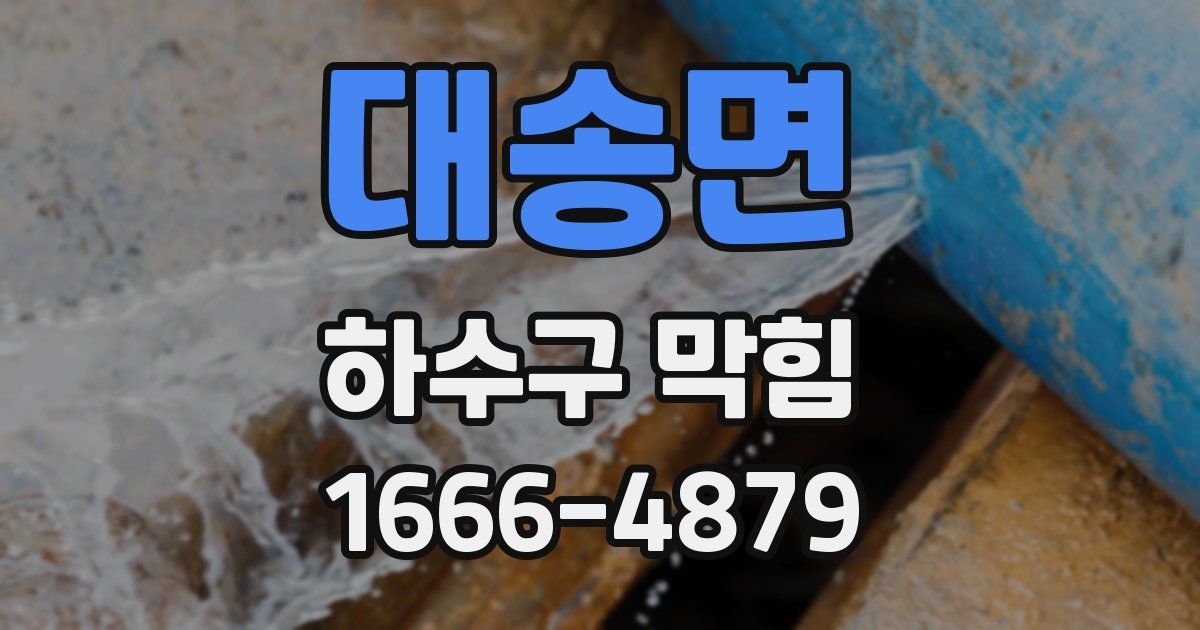 대송면 하수구 막힘