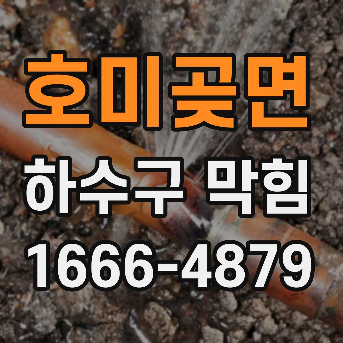 호미곶면 하수구 막힘
