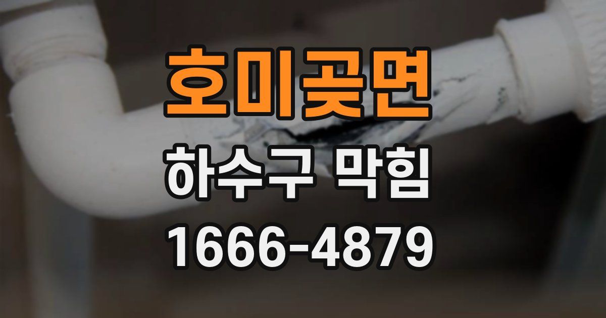 호미곶면 하수구 막힘