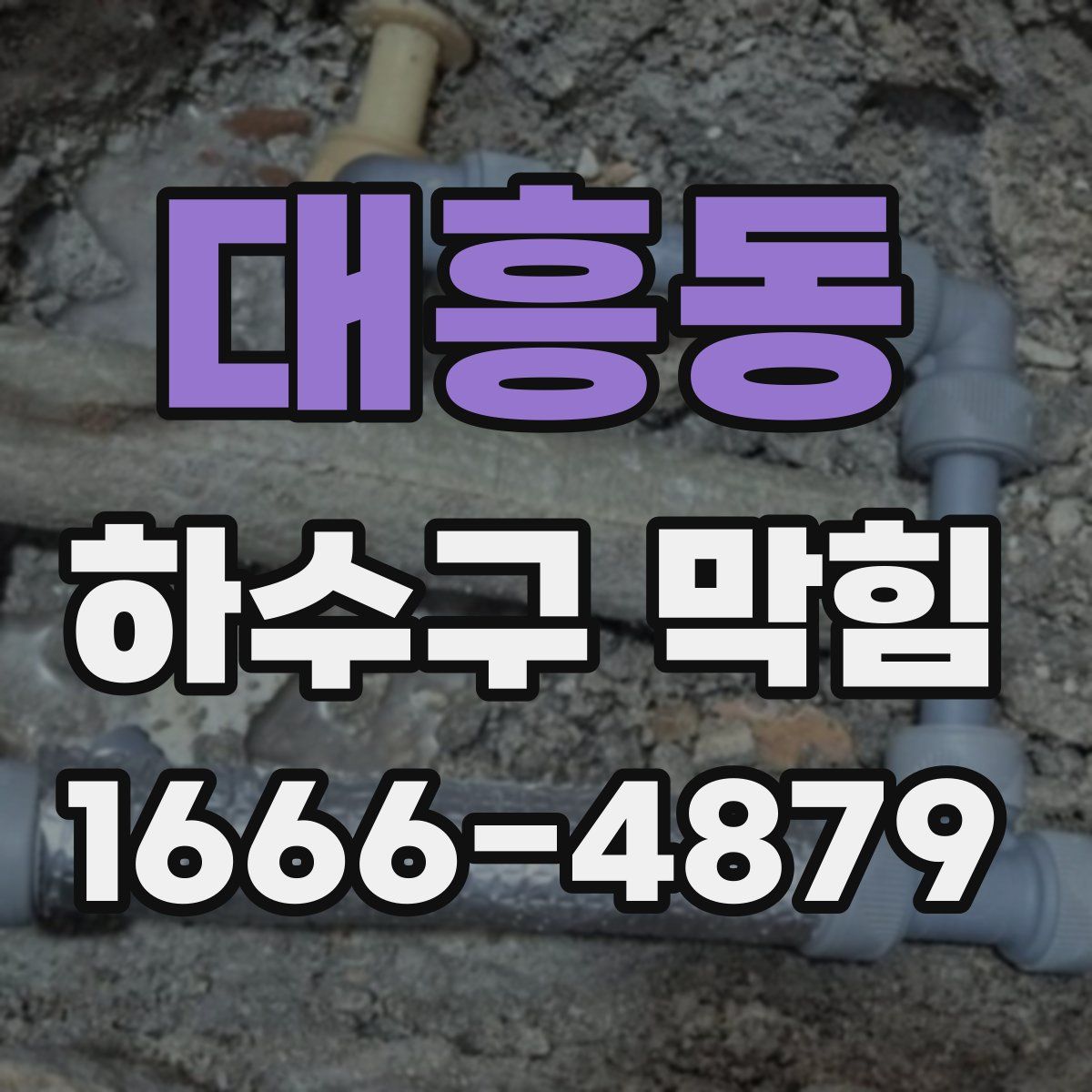 대흥동 하수구 막힘