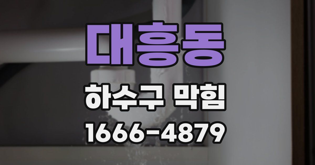 대흥동 하수구 막힘