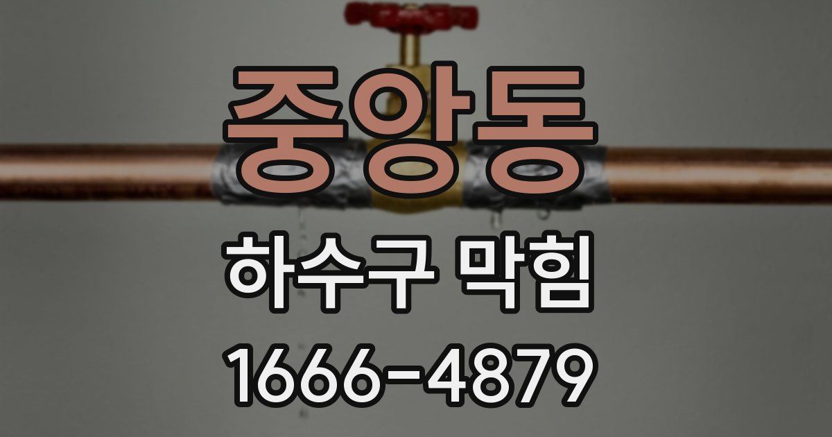 중앙동 하수구 막힘