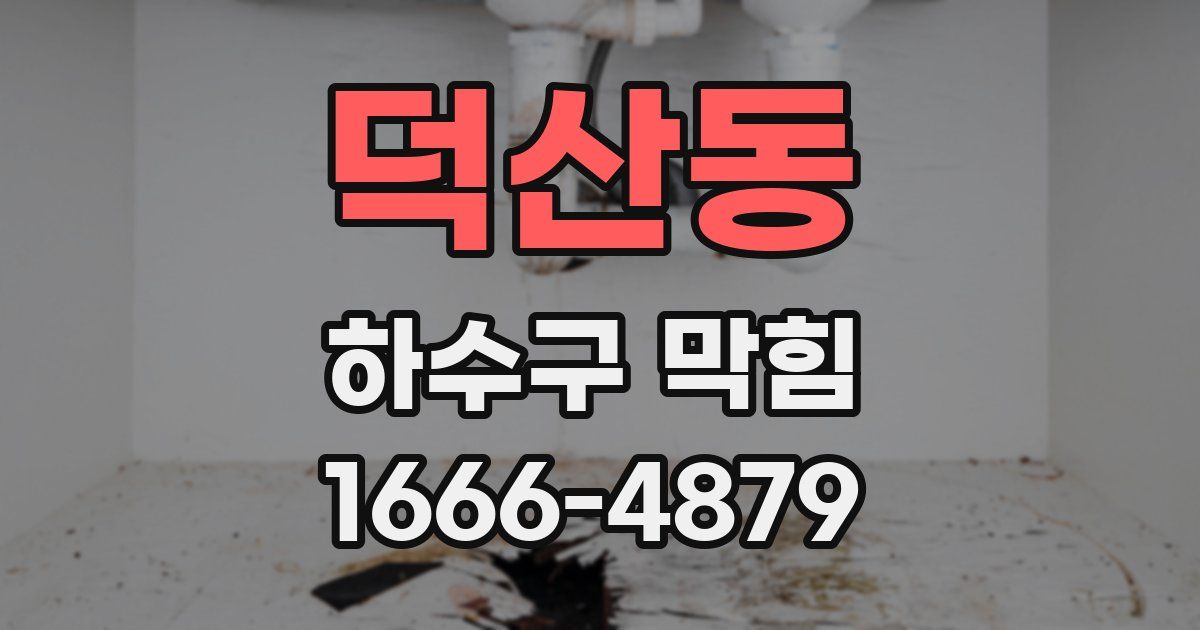 덕산동 하수구 막힘