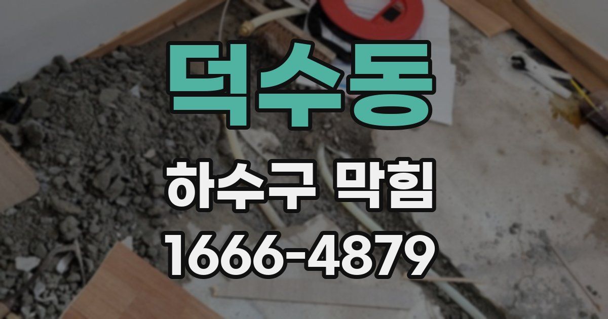 덕수동 하수구 막힘