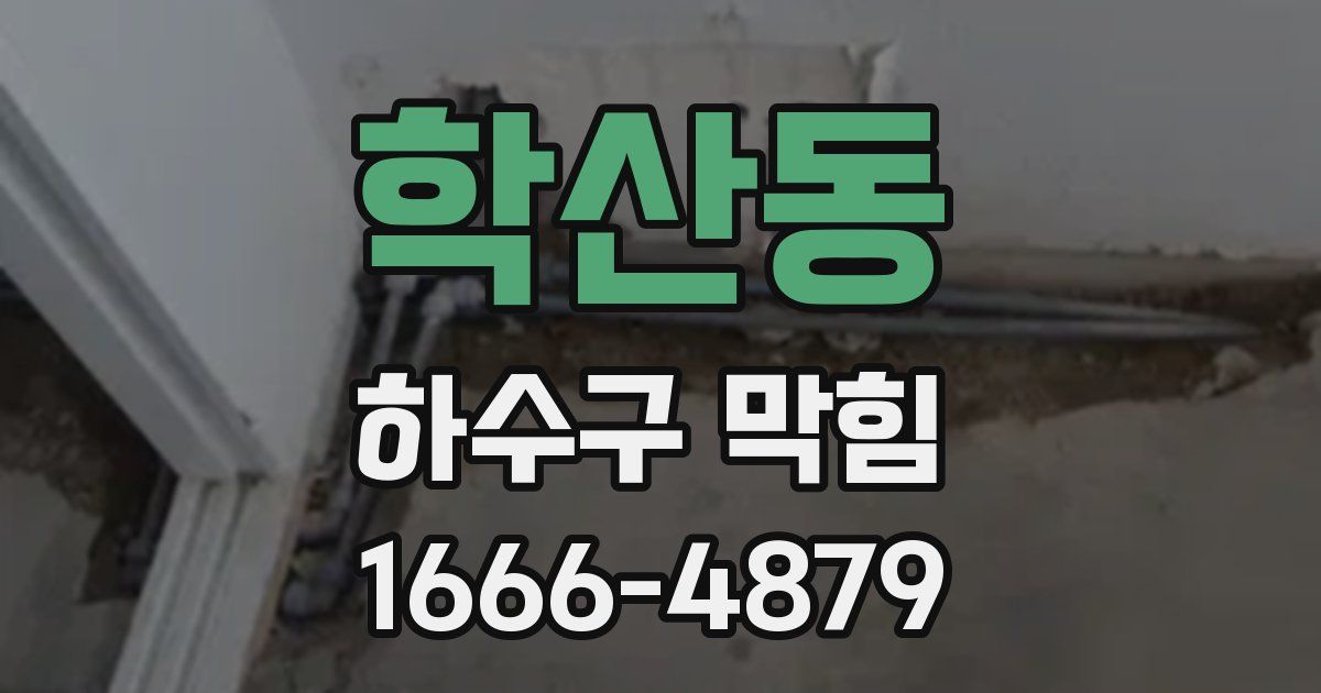 학산동 하수구 막힘