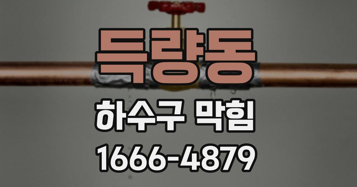 득량동 하수구 막힘