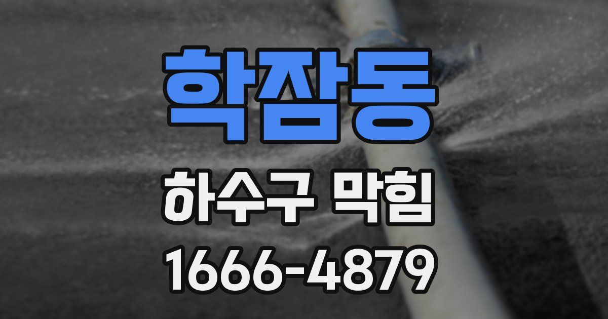 학잠동 하수구 막힘
