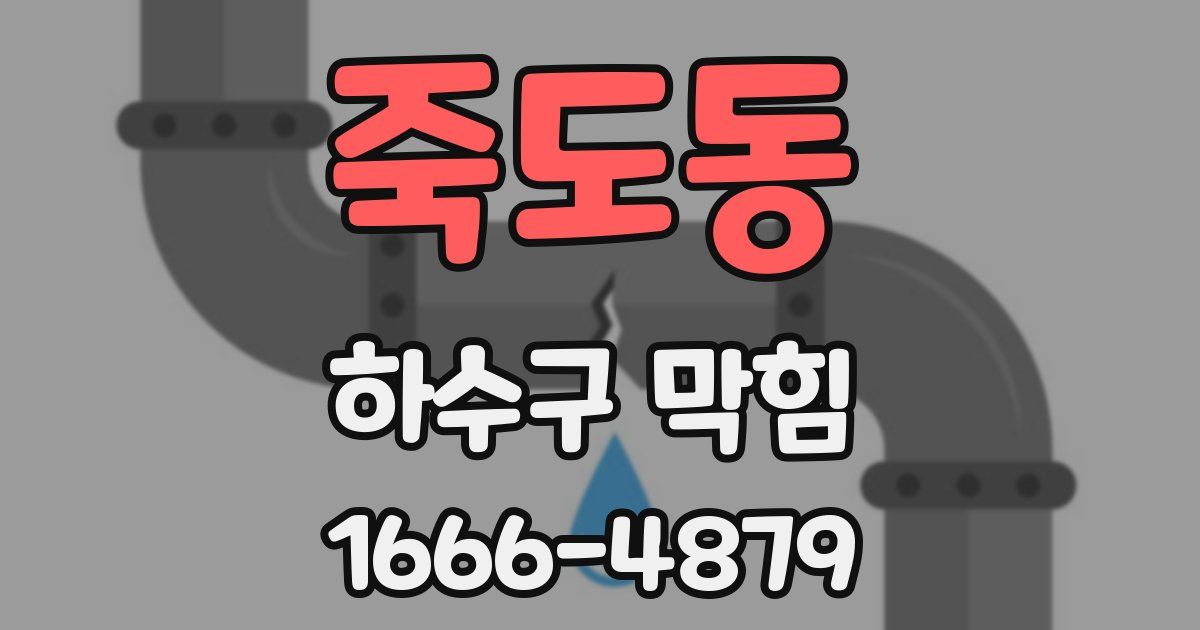 죽도동 하수구 막힘