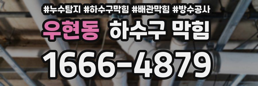 우현동 하수구 막힘