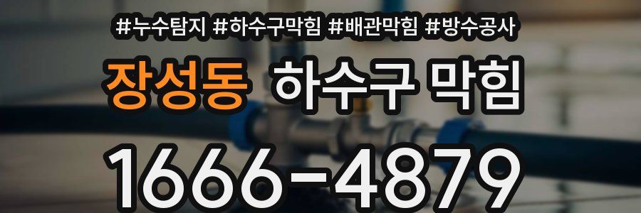 장성동 하수구 막힘
