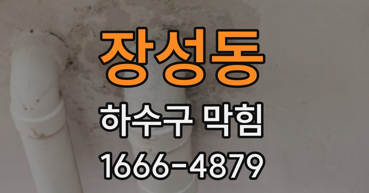 장성동 하수구 막힘