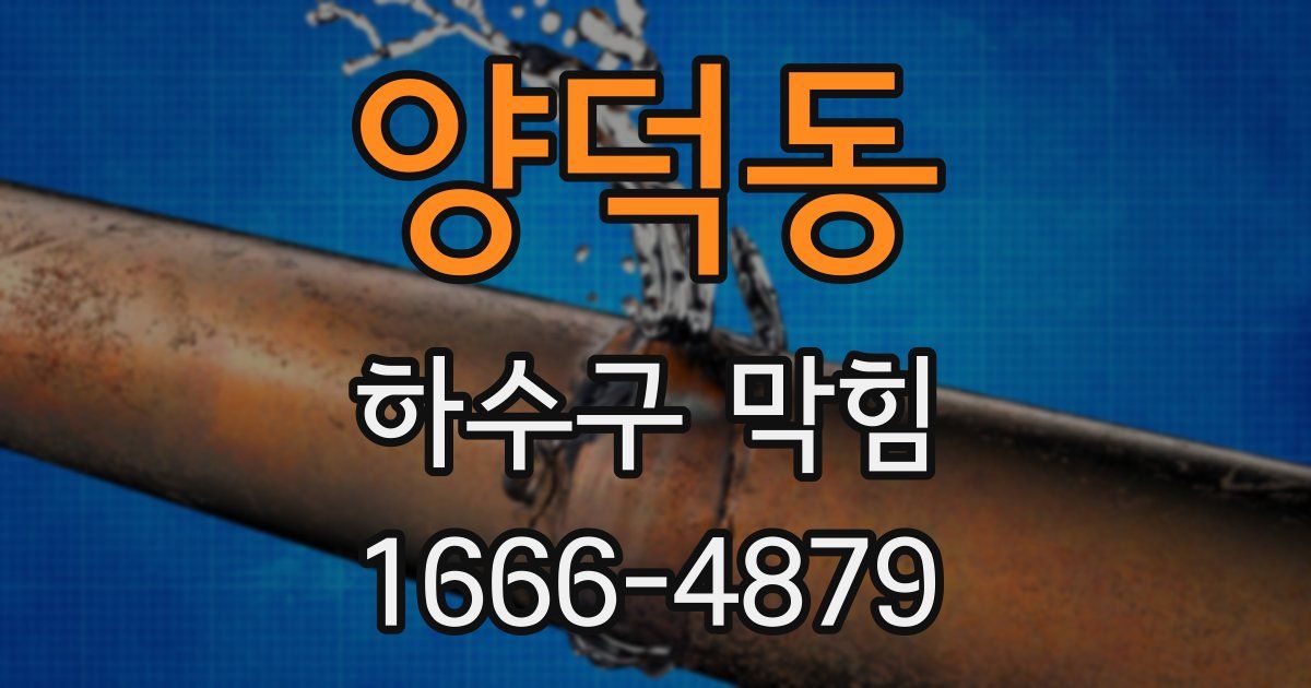 양덕동 하수구 막힘