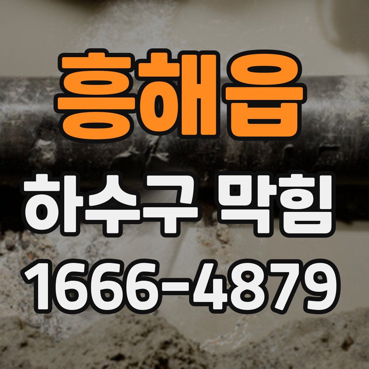 흥해읍 하수구 막힘