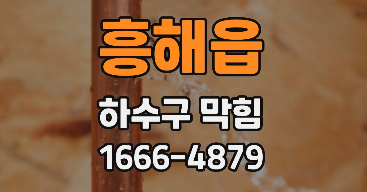 흥해읍 하수구 막힘