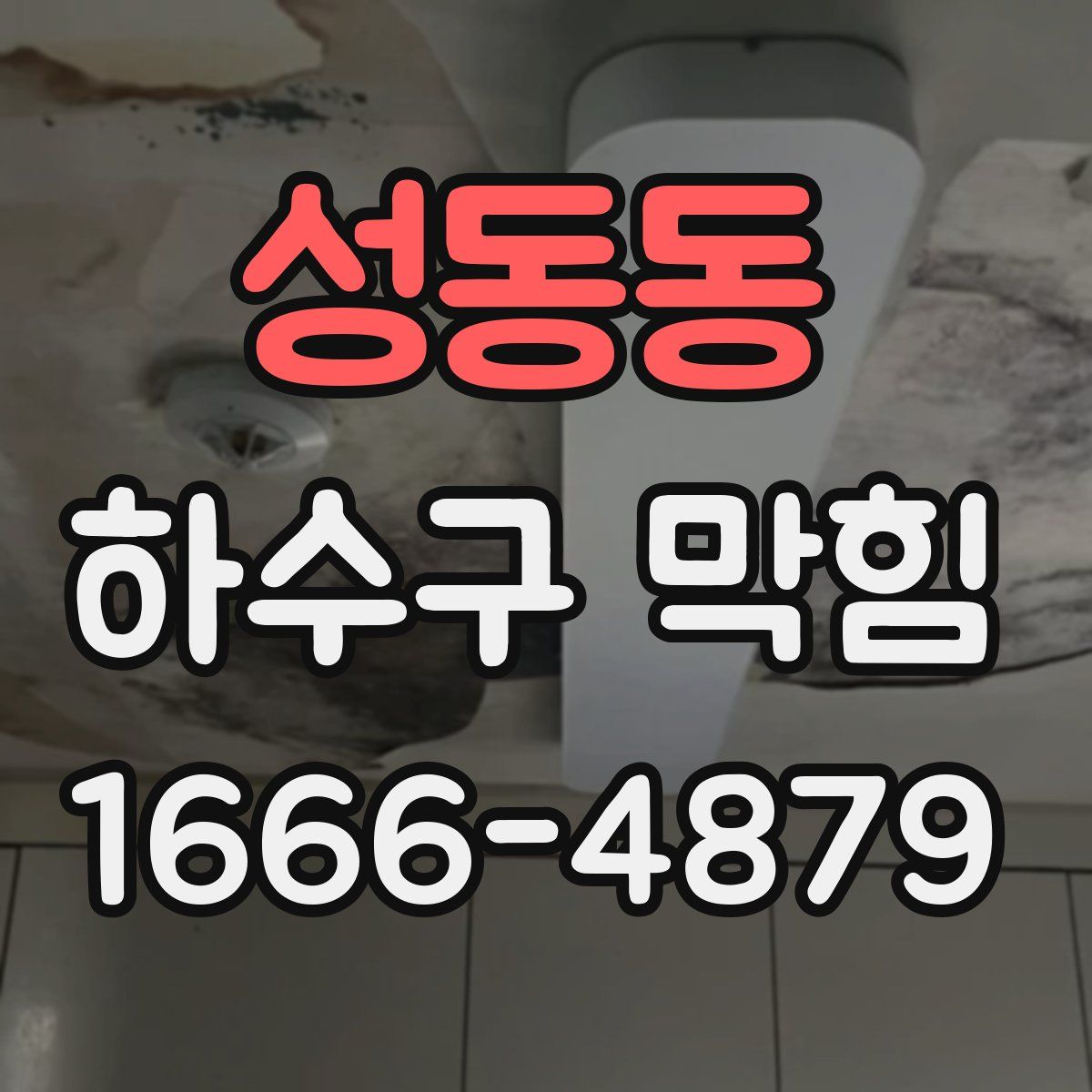 성동동 하수구 막힘